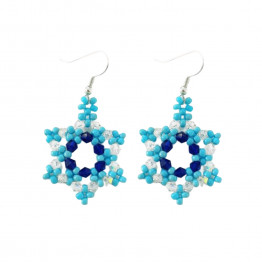 Handmade Blue Crystals & Transparent Beads Star of David earrings