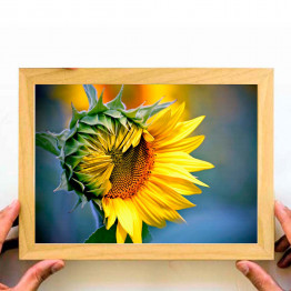Sunflower, Yellow Wall Art, downloadable print, printable wall art, Home Decor, Large Poster, Digital download, Modern Decor, painting