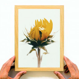 Sunflower painting Print, Yellow Wall Art, downloadable print, Home Decor