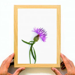 Purple flower, Downloadable Print, Printable Wall Art, Home Decoration, Painting